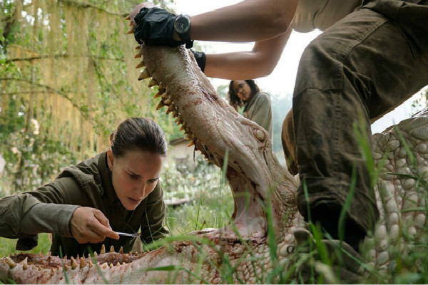“Annihilation” and the Modes of Becoming