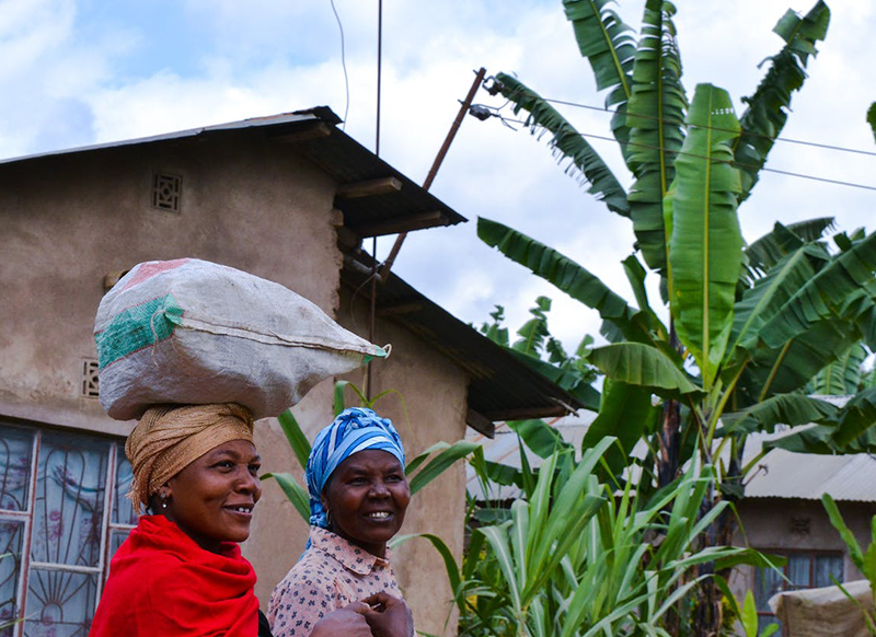 African Agri-Food System Transformation amidst the Challenges of Climate Change and World Food Crisis